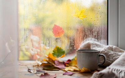 Pre-Autumn Checks for your Double-Glazing