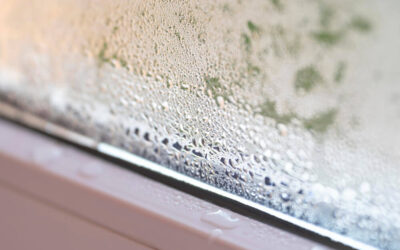 Why Your Windows Are Misting Up: Causes, Costs and Fixes